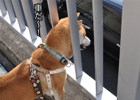 5日ブログ１２.jpg
