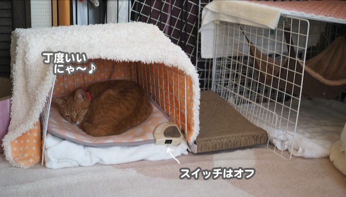 9日夕ブログ２