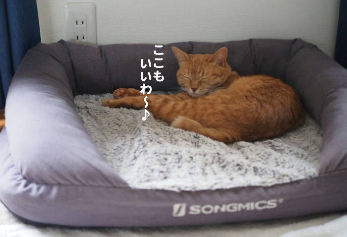 14日夜ブログ４