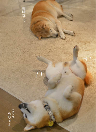 30日ブログ6.jpg