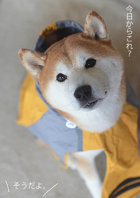 16日ブログ3