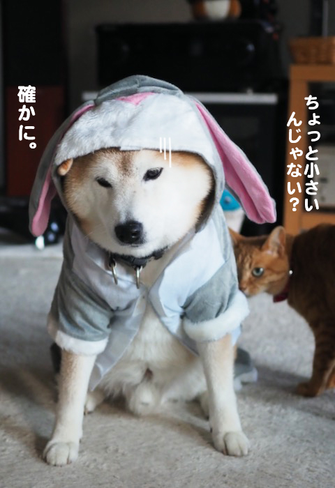 16日夕ブログ１３