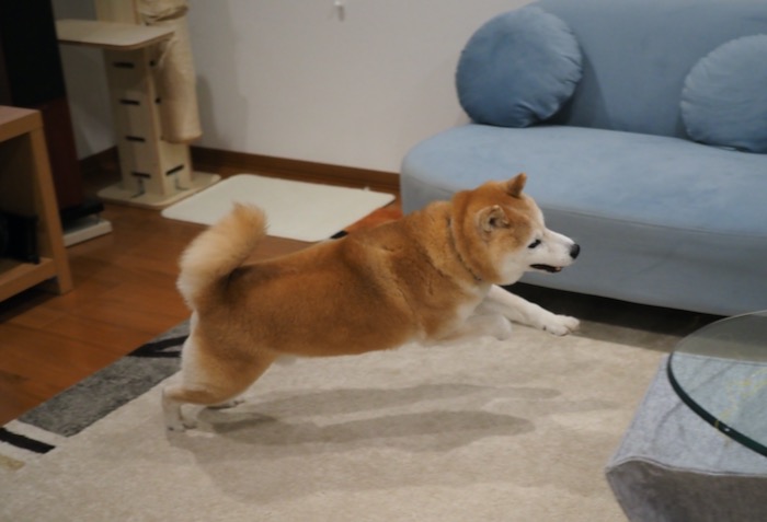 22日夕ブログ４