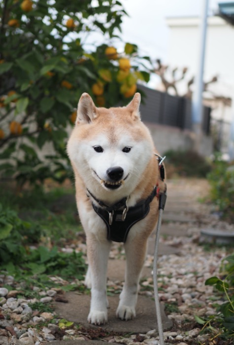 1日ブログ２