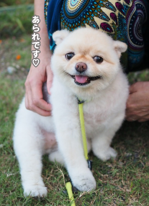 29日夕ブログ４