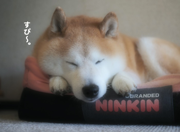 4日夕ブログ２