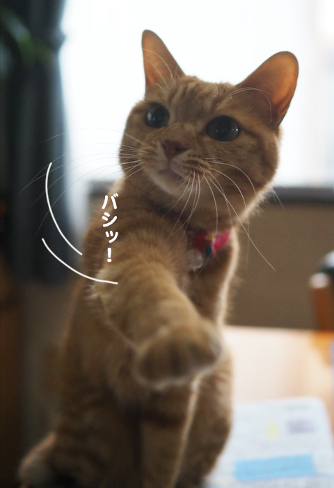 2日ブログ６