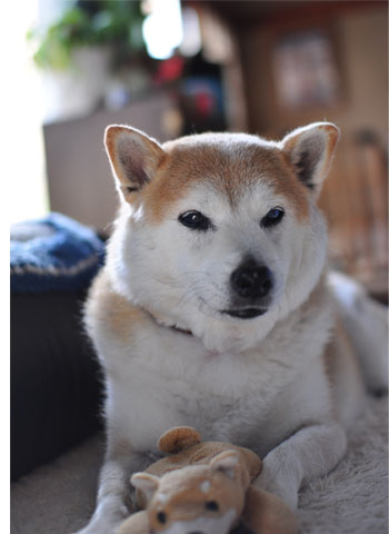 11日ブログ6.jpg