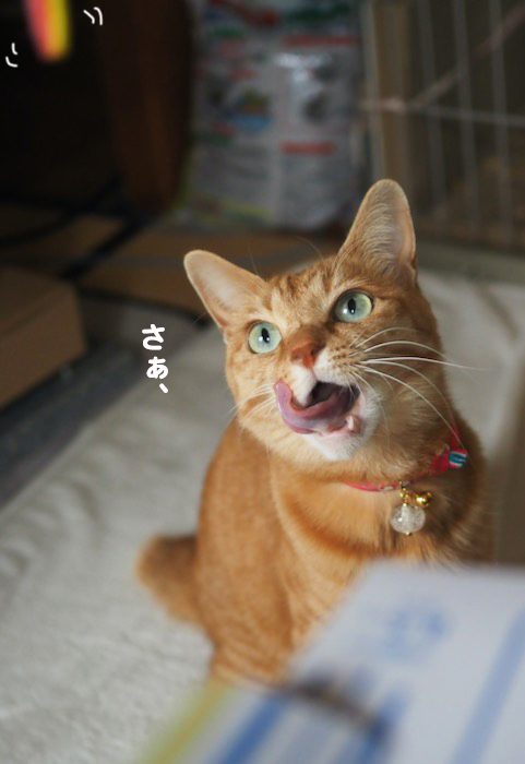 1日夜ブログ６