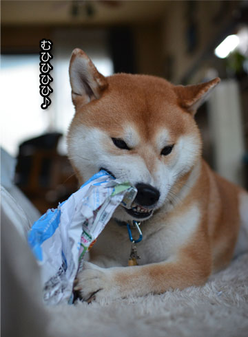 22日ブログ4.jpg