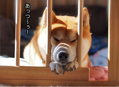 20日ブログ7.jpg