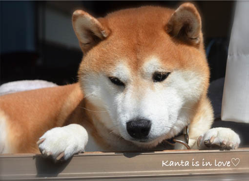 28日ブログ8.jpg