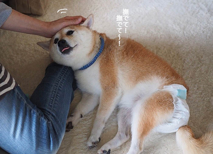30日ブログ５