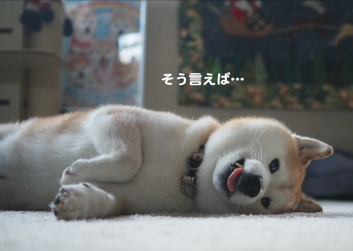 9日ブログ２