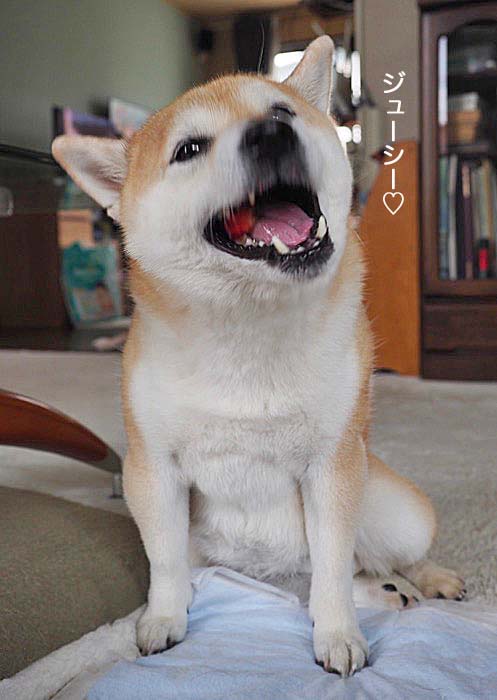 4日夜ブログ５