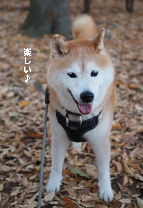 4日ブログ２