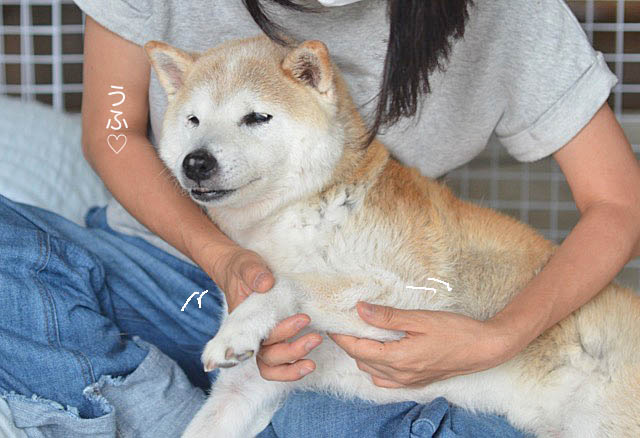 22日ブログ9