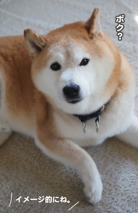 21日ブログ６