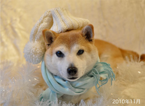 2日ブログ5.jpg