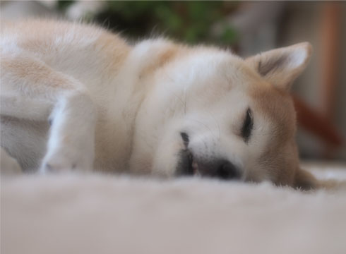14日ブログ12.jpg