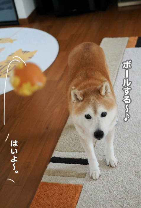 7日ブログ２