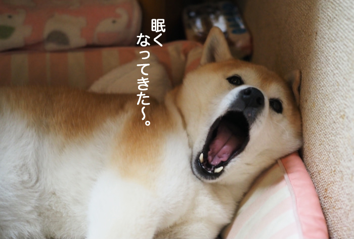 15日ブログ４