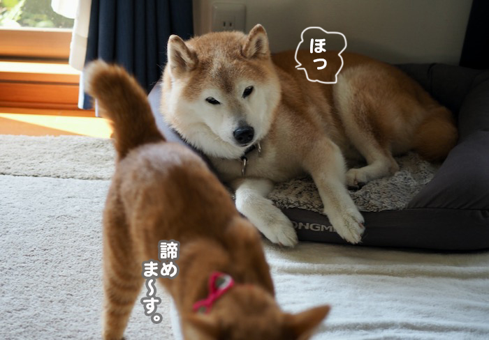 24日夕ブログ３