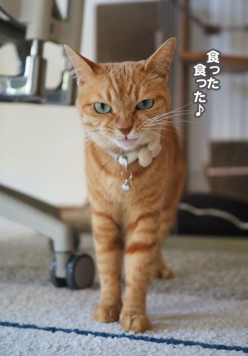 16日夕ブログ３