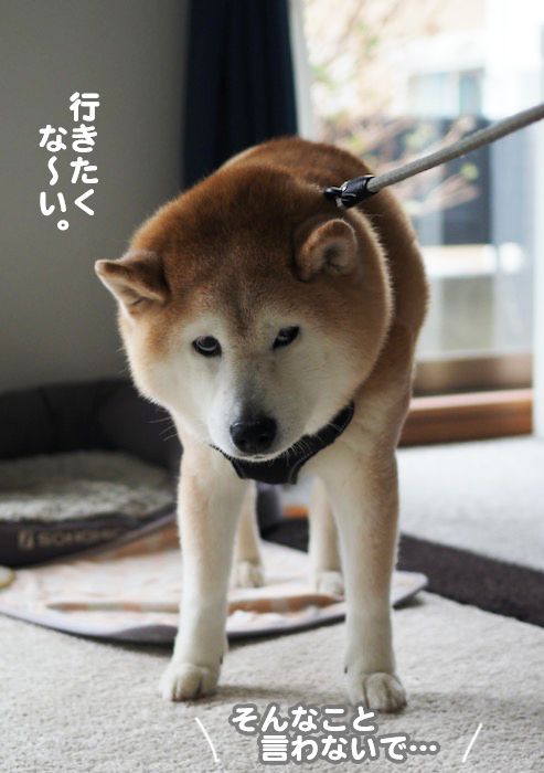3日夕ブログ６