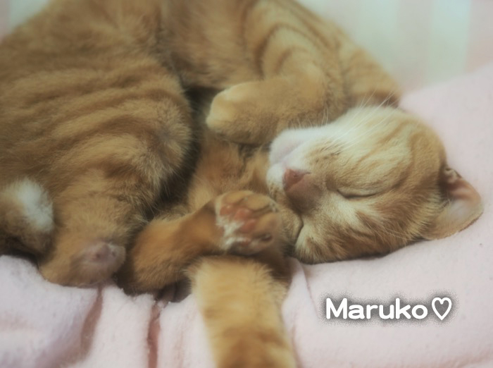 8日ブログ３
