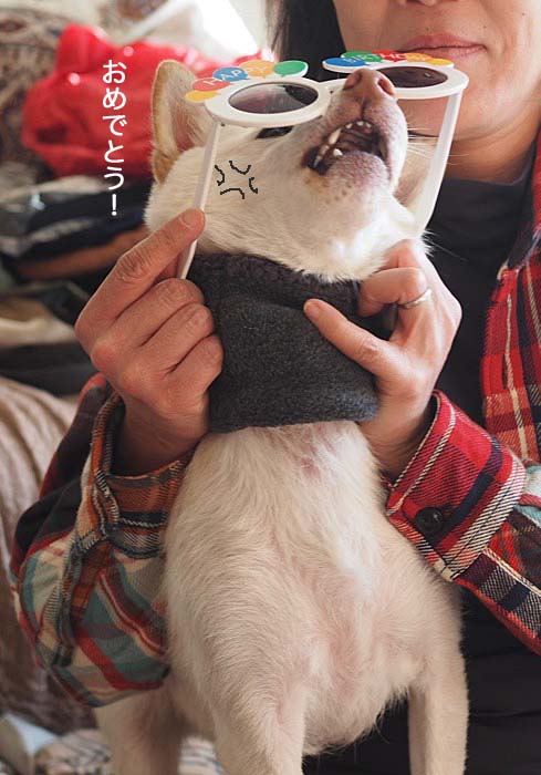 11日ブログ６