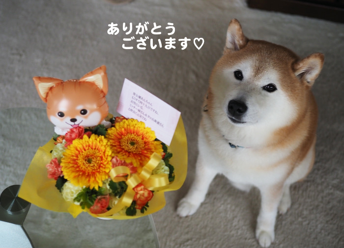 27日ブログ３