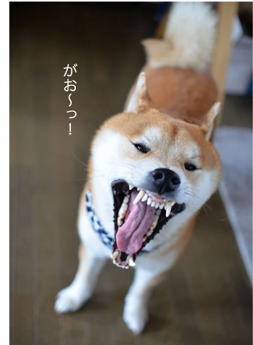 14日ブログ4.jpg
