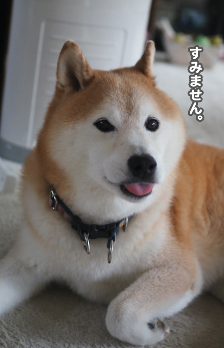 1日午前ブログ２