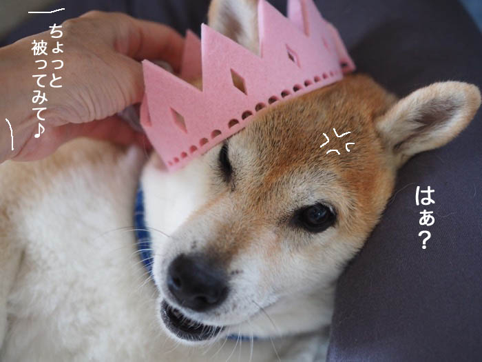 7日ブログ４