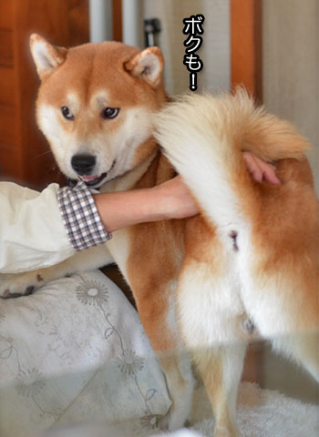 1日ブログ8.jpg