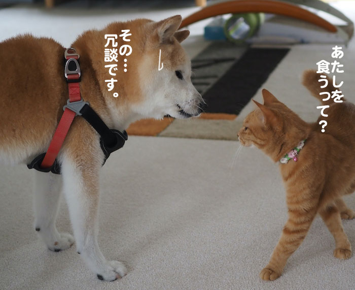 3日夕ブログ５