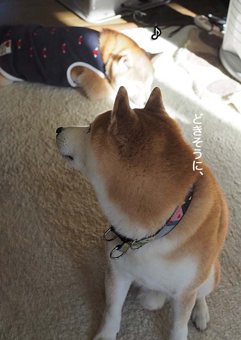 1日ブログ４
