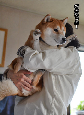 1日ブログ13.jpg