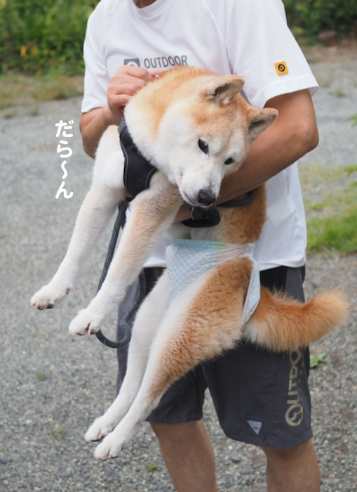 2日夕ブログ2