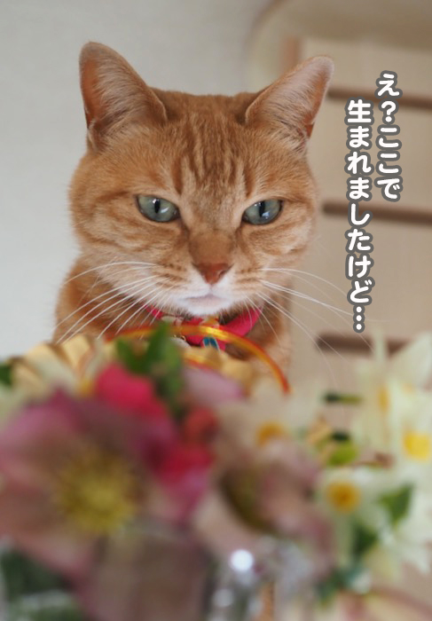 26日ブログ８