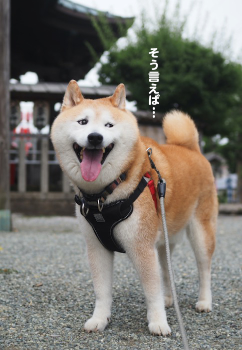 5日夕ブログ３