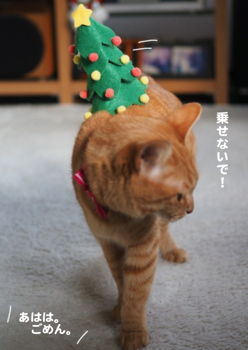 23日夕ブログ４