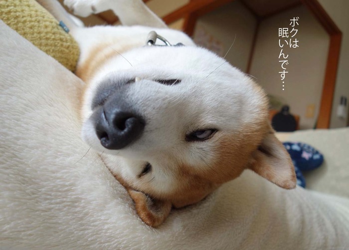 24日ブログ3
