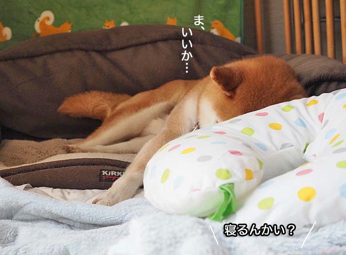 29日夜ブログ５