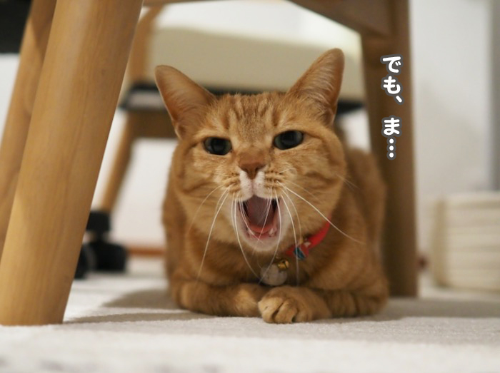 15日夜ブログ５