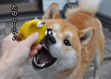 26日ブログ11.jpg