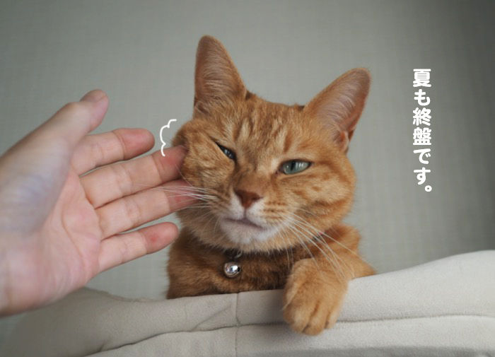 22日ブログ５