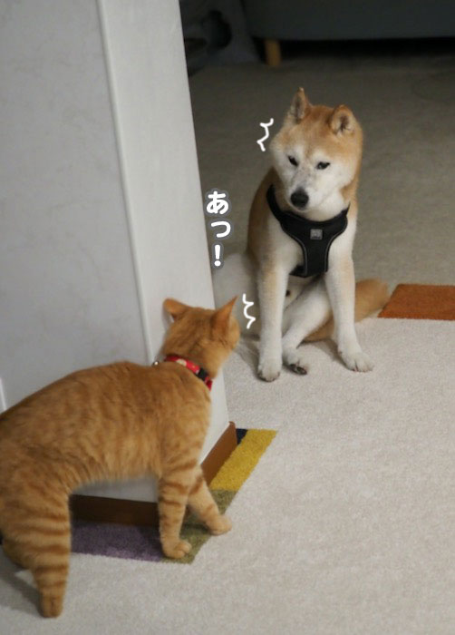 16日ブログ１
