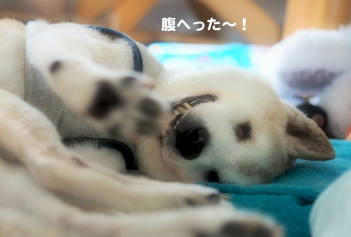 18日夕ブログ５